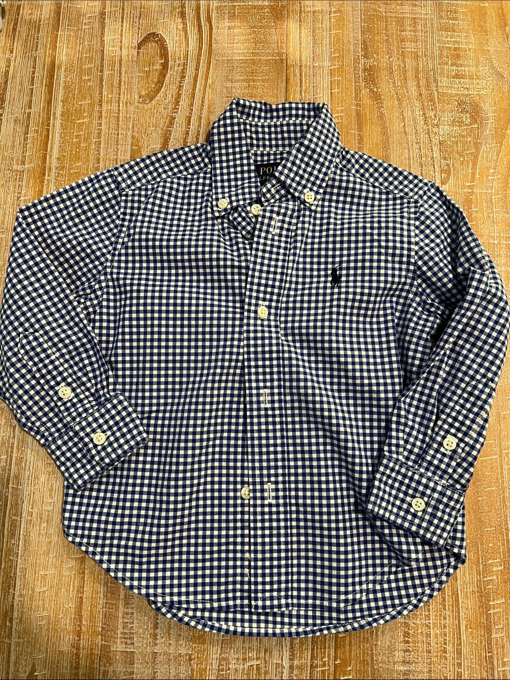 Polo by Ralph Lauren Navy and White Gingham Button-Down Shirt - Men
